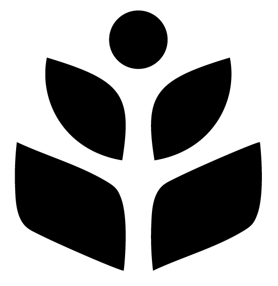 MAGNESIO (paquete 2 pz)